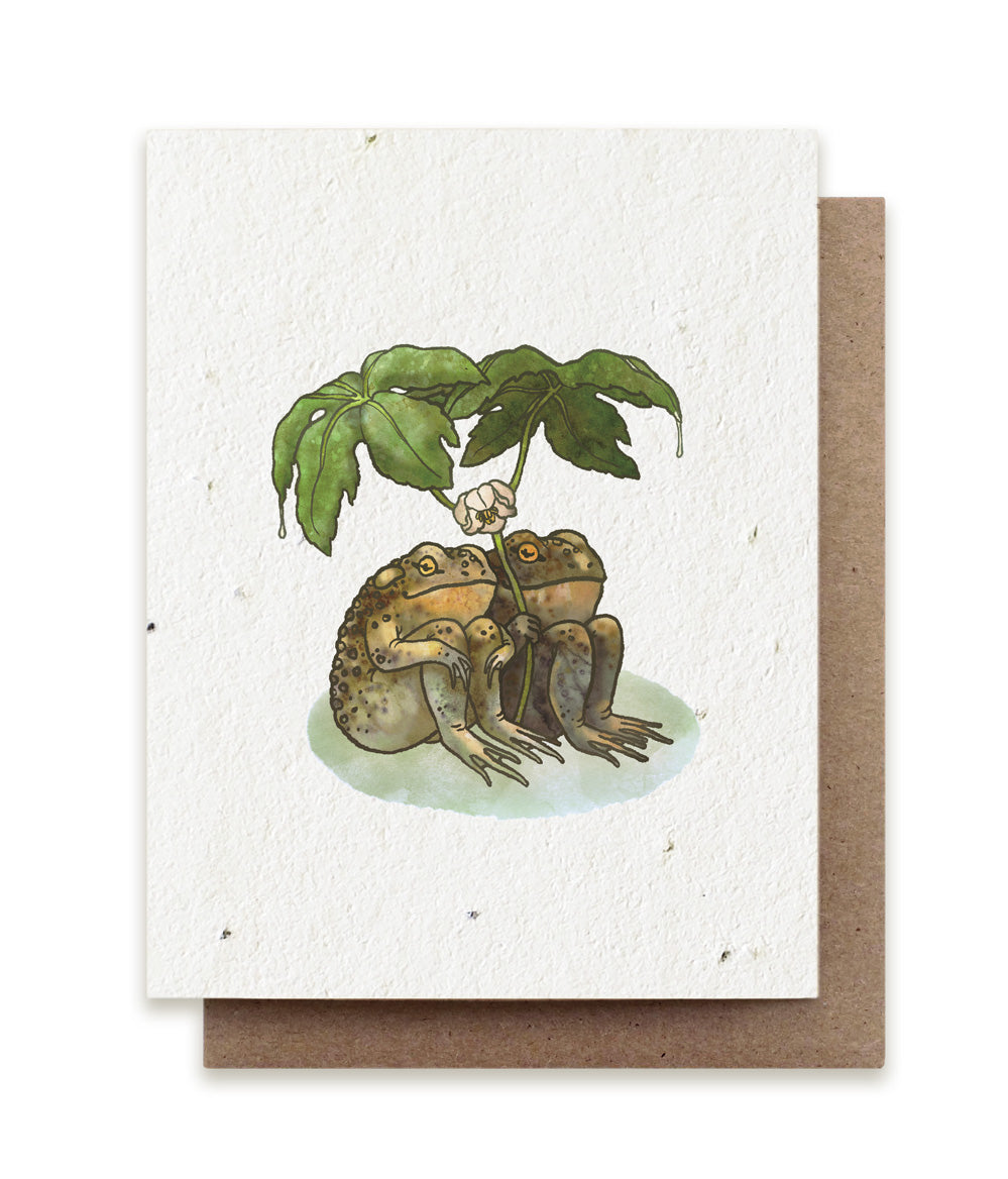 Toads Plantable Herb Seed Card