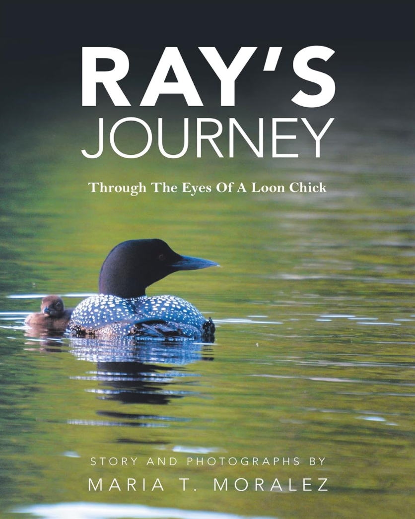(NH Author, Signed Copy) Ray's Journey: Through the Eyes of a Loon Chick, by Maria T. Moralez