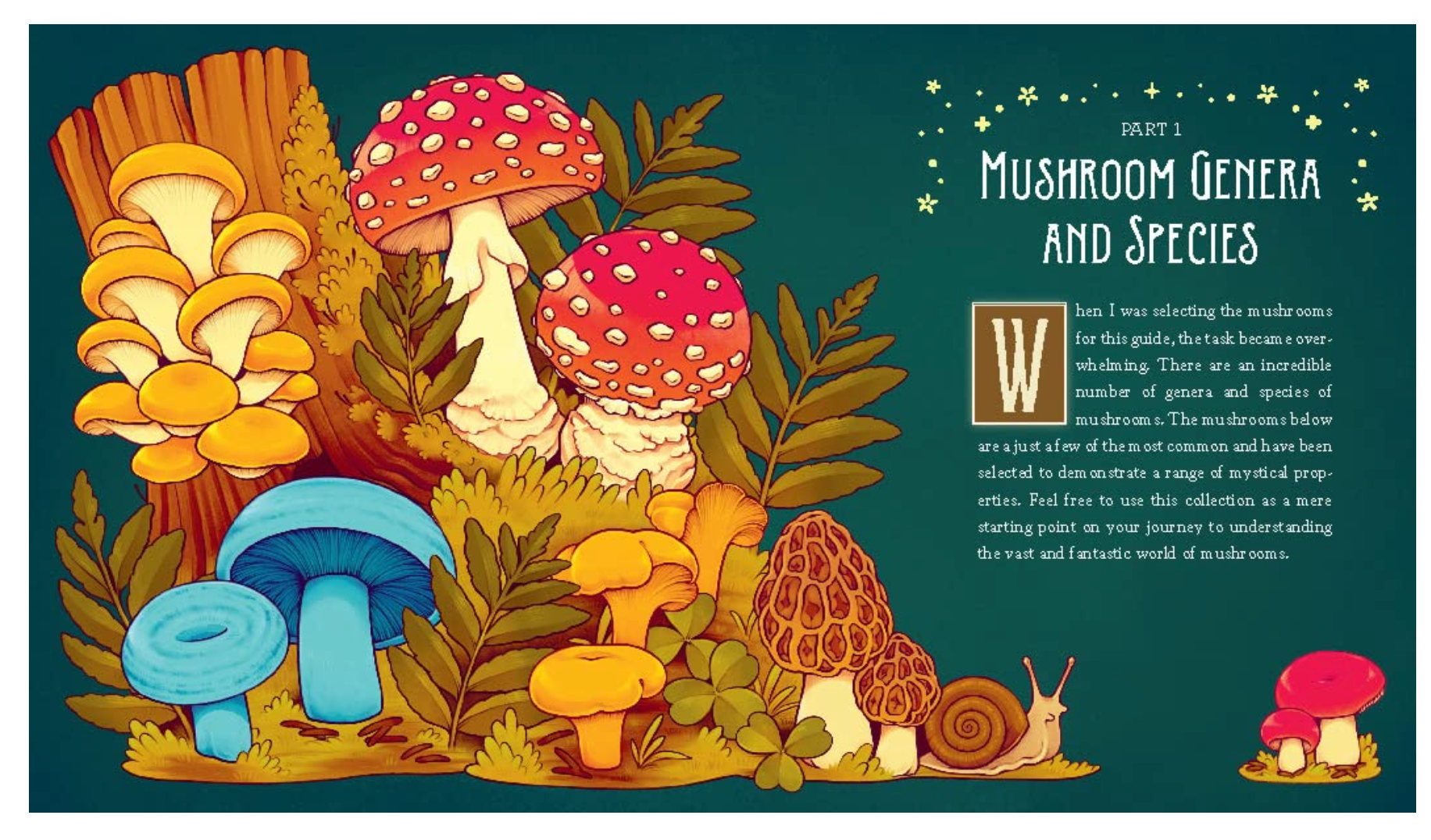 Mushroom Magick: Ritual, Celebration, & Lore, by Shawn Engel