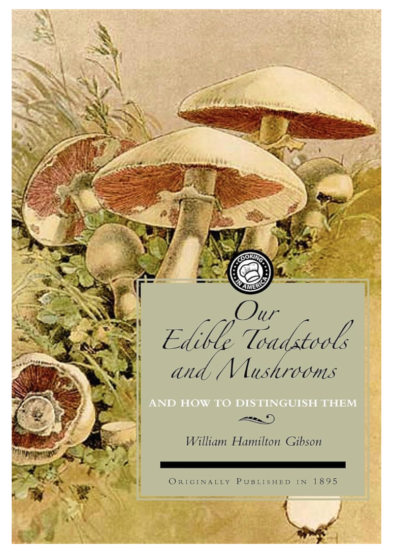 Our Edible Toadstools and Mushrooms, and How to Distinguish Them (1895 Reprint)