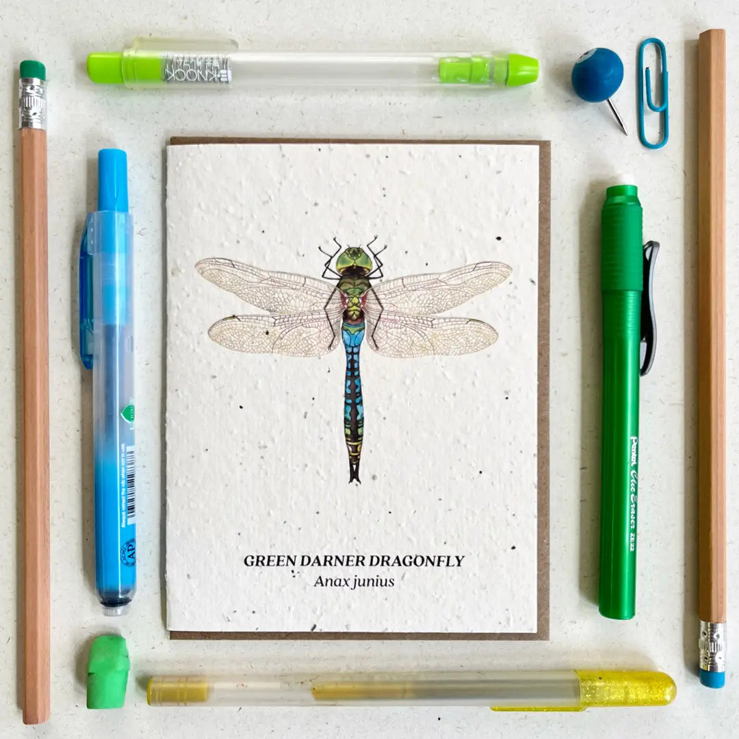Dragonfly Plantable Wildflower Seed Card